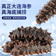 Fresh out of Dalian ready-to-eat sea cucumbers, sea cucumbers, sea cucumbers, sea cucumbers, sea cucumbers, dried goods 7-13 heads, net weight 500g