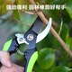 Deli garden scissors, fruit branch shears, garden pruners, branch pliers, household pruning scissors, fruit branch scissors lock design