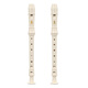 
Swan (SWAN) British Baroque Treble Eight Hole Recorder 8 Primary School Students and Children Adult Professional Advanced Flute