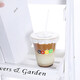 Disposable coffee and milk tea cup with lid, special cold drink plastic drink cup, water cup, homemade drink packaging and thickening PP coffee and milk tea cup 350ml 15 pieces
