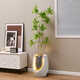 Phty Wohnzimmer bodengesteuertes Ornamente Modernes Licht Luxus High-End Nordic Flowing Water Fountain Ornamente Zirkulationswasserdekoration 9928a Wasser Bonsai + Simulierte grüne Pflanze a