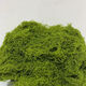 Simulated filamentous moss green micro landscape layout fake lawn fish tank landscaping rockery stone bonsai landscaping pavement light yellow green 70g free 40g
