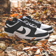 耐克（NIKE）DunkLow
