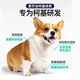 Baichan high-end Corgi full-stage dog food for adult dogs and puppies, beautiful coat, light tear stains, fattening and calcium supplement, universal 5 Jin Jin equals 0.5 kg. Corgi full-stage dog food 5 Jin Jin equals 0.5 kg (small grains)