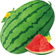 Xiangbin resistant to heavy cropping Xinong No. 8 watermelon seeds extra large lazy unicorn super sweet high yield giant watermelon fruit seeds Xinong No. 8 watermelon seeds 5g original