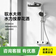 TOTOHEALTH2025新款淋浴花洒全套装3D水力按摩家用浴室白色电镀增压花洒套装 TBW728 电镀银色 （官方出品）