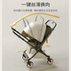 DearMom stroller Rome holiday two-way foldable seats and lying lightweight high landscape with shock absorbing trolley Max