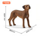 思乐（Schleich S）仿真动物模型猫猫狗狗男女孩启蒙认知3+六一儿童节礼物 罗得西亚脊背犬13895