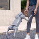 Yushu Voice AI Big Model Maschinenhund verkörperte intelligente bionische Begleitung vierbeiniger Roboter Go2-pro Long Battery + Fernbedienung