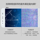 Yanchida eignet sich für Huawei Honor 90/80/70/0010/50/50SE Bildschirmbaugruppe/Mobiltelefon Reparatur/interne und externe Glasanzeige Touch LCD Integrated Screen Honor 30 Bildschirmbaugruppe [Original Handgefühlsqualität]