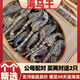 北京同仁堂足干正宗海马干货非中药材一对滋补泡酒配对煲汤公母非野肾阳高 5对装[9-11厘米]送6只特小海马