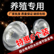 Yanmeng Insulation Lamp Farm Special Pig Breeding Chick Heating Lamp Piglet Rutin Chicken Warming Baking Lamp Bulb Warming Lamp Special Offer 6pcs Upgraded White Glossy 100W