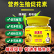 Special flower-stimulating hormone for flowers and flowers to promote flower bud differentiation, flowering and pollination. Lychee, longan and loquat foliar fertilizer. Powerful flower-inducing hormone. 2 bottles (200g each)
