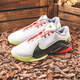 耐克（NIKE）Lebron22LBJ22詹姆斯勒布朗22篮球鞋FZ1095-101 FZ1098-100 40.5