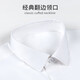 Romon (Romon) [Mulberry Silk Iron] Camisa de manga corta para hombres camisa blanca camisa delgada