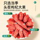 Juhetai [alter Baum extra großer Zhenguo 150 Schweine/50 g] Rote Wolfberry 500g Gouji Wolfberry Wolfberry Schwarz Wolfberry Männlich in Wasser eingeweicht in Wasser eingeweicht