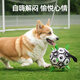 HELLOJOY Dog Toy Football Border Collie Pet Puppy Medium and Large Dog Corgi Interactive Bite Resistant Boredom Relief Training Toy Supplies