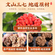Tongfu Panax notoginseng powder 500g Yunnan Wenshan origin 20 heads of Panax notoginseng powder very fine powder