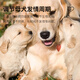 OIMG Fertility Bao for Dogs, Special Nutrient Premix for Female Dogs to Promote Estrus and Ovulation, Female Dog Fertility Bao, 5 barrels of mix (free mix, please note when placing an order)