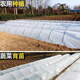 Runhuanian white transparent agricultural thickened small shed special film vegetable field insulation film winter 2.2 meters wide 4 wires thick agricultural film 5 meters long