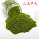 Simulated grass powder handmade moss bonsai wild moss micro landscape rockery diy moss plant paving micro landscape 40g wild green