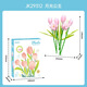 Le High Plant Log Serie Tulip Bausteine ​​Blumenbaugruppe Spielzeug simulierte Blumenschmuck Mädchen Geschenk JK2679 Sunny Holiday [exquisite Farbbox]