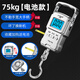 Qianque high-precision portable electronic scale small express delivery portable household hook hook spring luggage fish device silver battery model - battery with tape measure 75kg10g