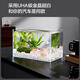 YEE super white fish tank desktop living room ecological goldfish turtle tank landscaping small aquatic plant fish culture glass naked tank 50cm