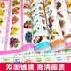 KL Gute Babykognitive Seitendiagramm Kinder frühes Bildungsstil -Sprechdiagramm Kind und Kleinkind Aufklärung Pinyin Alphabetisierungskarte Wandaufkleber Vollständiger Set von 30 frühen Bildungsplan [Klebeband + Höhe und Vision Chart