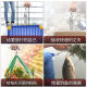 手提秤手提电子秤挂钩秤钓鱼秤行李秤迷你便携式高精度手称小秤快递弹簧秤 不锈钢挂钩可称100斤 织带挂钩100斤【充电款】