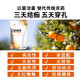 True canker, unique citrus peach tree, fruit tree and vegetable canker, soft rot bacterial perforation, 1 billion live bacteria microbial agent, citrus canker special 1000g*10 bags