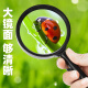 驿普路（YIPULU）手持式阅读放大镜光学镜片橡胶手柄高倍高清老人学生读书看报维修 XT-671（100mm）