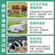 Cattle and sheep high calcium multi-dimensional veterinary feed for chickens calcium supplement duck and goose high calcium shell powder feed additive for poultry and pigs Cattle and sheep high calcium multi-dimensional 10 bags/1kg