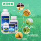 Yunda 1.2 million guaranteed brassinolide vegetable, wheat and fruit tree sugar-increasing yield-promoting growth regulator 100ml