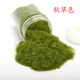 Simulated grass powder handmade moss bonsai wild moss micro landscape rockery diy moss plant paving micro landscape 40g wild green