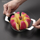 FANCYCHIC Stainless Steel Apple Cutting Tool Large Fruit Divider Multifunctional Peeling and Core Separation Tool Slicer 12-cut 304 Stainless Steel-Blade 10cm