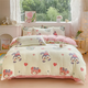 Zile (Zile) snowflake velvet thickened warm double-sided velvet skin-friendly and comfortable single quilt cover 220*240cm-Starry Sky