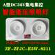 Shantoulincun Zhenhui A-Type de bajo voltaje DC36V Fuego Cilindro de emergencia de doble cabeza Cilindro centralizado Lámpara de iluminación de techo montada en la pared de la pared, recolectando la luz de techo de control de control integrado 3.5 pulgadas 3W (831 (831