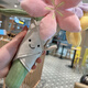 JELLYCAT现货秒发jellycat英国手捧花玩偶毛绒玩具生日结婚情人节女友礼物 手捧花一束+品牌防尘袋+正品现货 京仓现货直发23*31cm