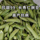 Zhentian 99 Sweet Pea Seeds Longevity Kernel Large Pods Large Sweet Crisp Dutch Pea Seeds Sown in Spring and Autumn Four Seasons Pea Seeds 10Jin Jin equals 0.5kg Original Bag Zhentian 99