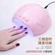 Miss Candy débutants Nail Art Set vernis à ongles Glue Nail Art Nail Nail Light Nail Retour de stockage Eau Sc753 Cadeau à petite amie