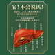 菊花枸杞决明子茶去火清热解毒养肝护肝熬夜明目缓解疲劳养生茶包 【用眼过度】30包