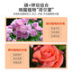 Powerful flowering powder for potted roses, gardenias, camellias and all plants to promote flowering fertilizer. Powerful flowering powder 2 bottles (3 bottles for real hair)