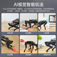 幻尔ROS2机器人PuppyPi树莓派5四足机器狗AI大模型视觉识别智能语音交互SLAM建图导航Python开源可编程 专业开发版 树莓派5/8G