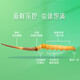 Dongyangguang Fresh Cordyceps Klasse 1 16 Geschenkkarten 0,4-0,6 g/Fresh Cordyceps Gourmet für ältere ältere Menschen