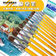 Farbe Glory Wasserkreide Van Gogh 826 Wasserkreidekunststudenten Acrylpinsel Wolf Haar Ölbürste Set Schüler Pigment Pigment Pen 6 Doppelzahlen 2 4 6 8 10 12 Grundschüler Schüler