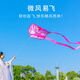 Kaiya Internet Celebrity Same portable de poche sans squelette Kite 2025 New Children's Cartoon Breeze Easy-Fee Outdoor Toys