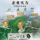 Tianchi Tea Industry 1392 Phoenix Dancong Chazhou Gaoshan Tea Phoenix Dancong Tea Old Teng Narcissus 100G*1 банка