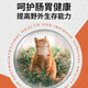 Miaofansi Stray Cat Food 10Jin Jin is equal to 0.5kg Adult Cat Food Stray Cat Han Ouhaichen Style Full Price Rescue Food Official Flagship Miaofansi Stray Cat Food Haichen Style 5kg Official Confidential Delivery x 5kg