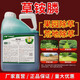 Dafeng Harvest Fengchuang Huixuan 200g/L Glufosinate Ammonium Herbicide for clearing orchard weeds and grass herbicide 5kg